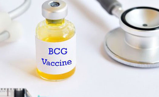 Tìm mối liên quan giữa vaccine BCG trong phòng, chống Covid-19